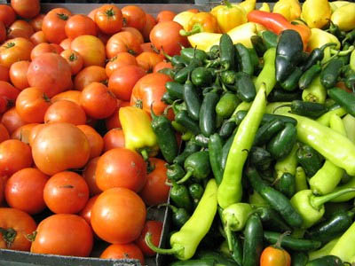 Farmer's Market